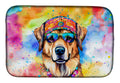 Hippie Dawg Dish Drying Mat Absorbent Dish Drying Mat Pad for Kitchen Counter Dish Drainer Mat for Countertop, 14 x 21", Multicolor
