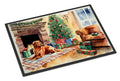 Nova Scotia Duck Tolling Retriever Cozy Christmas Doormat Indoor Outdoor 18H X 27W Front Door Mat Rugs for Entryway, Non Slip Washable