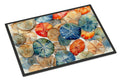 Sand Dollars Doormat Indoor Outdoor 18H X 27W Front Door Mat Rugs for Entryway, Non Slip Washable