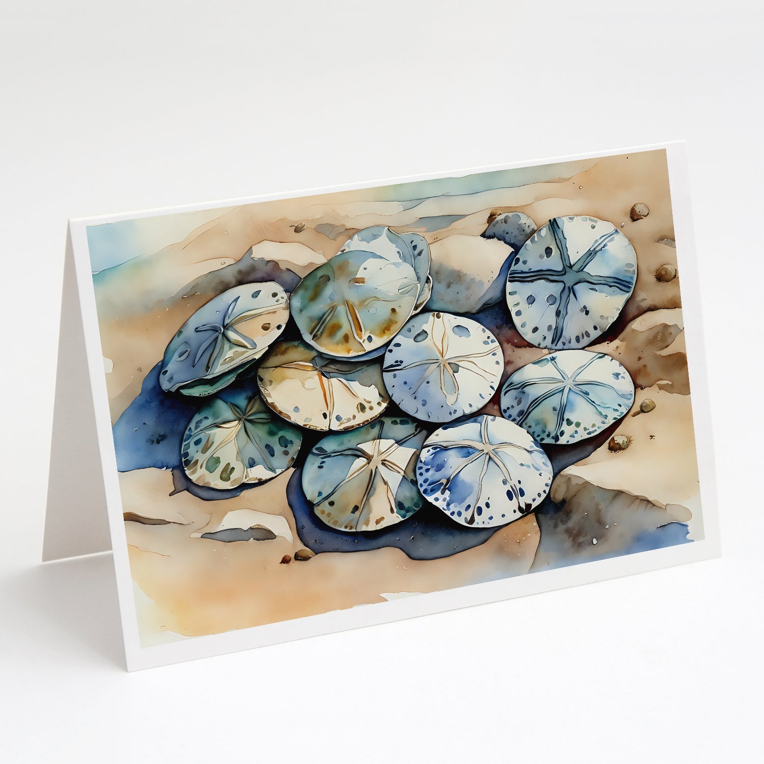 Sand Dollars Greeting Cards Pack of 8 Blank Cards with Envelopes Whimsical A7 Size 5x7
