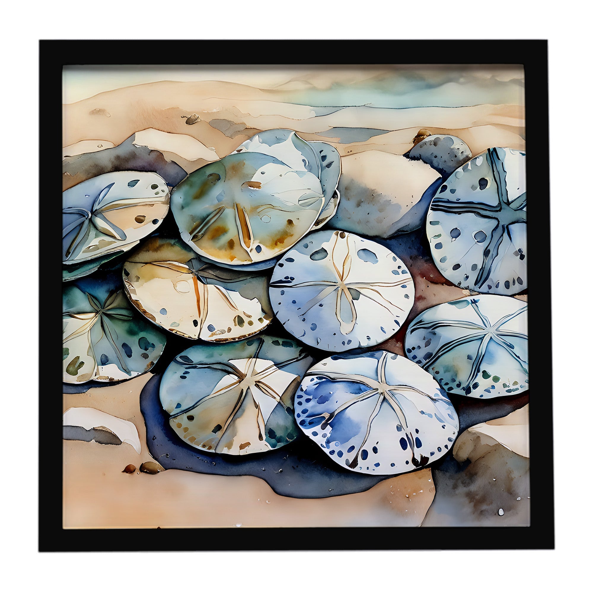 Sand Dollars Framed Metal Print Bathroom, Kitchen, Office, Home Decor Wall Art Ready to Hang, Square, 8X8