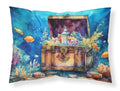 Treasure Chest Standard Pillowcase Lightweight Super Soft Easy Care Decorative Artwork Pillowcase, Standard