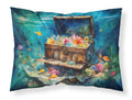 Treasure Chest Standard Pillowcase Lightweight Super Soft Easy Care Decorative Artwork Pillowcase, Standard