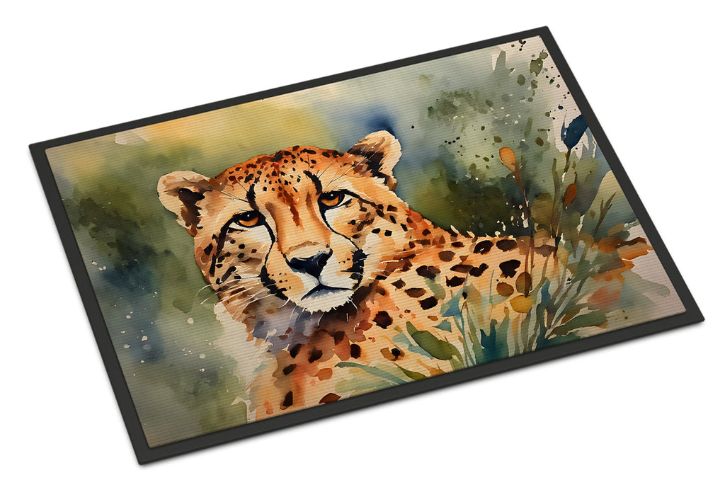 Cheetah Doormat Indoor Outdoor 24H X 36W Front Door Mat Rugs for Entryway, Non Slip Washable Low Pile,