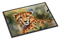 Cheetah Doormat Indoor Outdoor 18H X 27W Front Door Mat Rugs for Entryway, Non Slip Washable