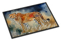 Cheetah Doormat Indoor Outdoor 24H X 36W Front Door Mat Rugs for Entryway, Non Slip Washable Low Pile,
