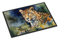Leopard Doormat Indoor Outdoor 24H X 36W Front Door Mat Rugs for Entryway, Non Slip Washable Low Pile,