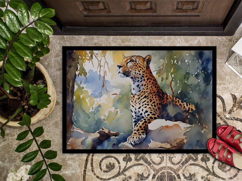 Leopard Doormat Indoor Outdoor 24H X 36W Front Door Mat Rugs for Entryway, Non Slip Washable Low Pile,