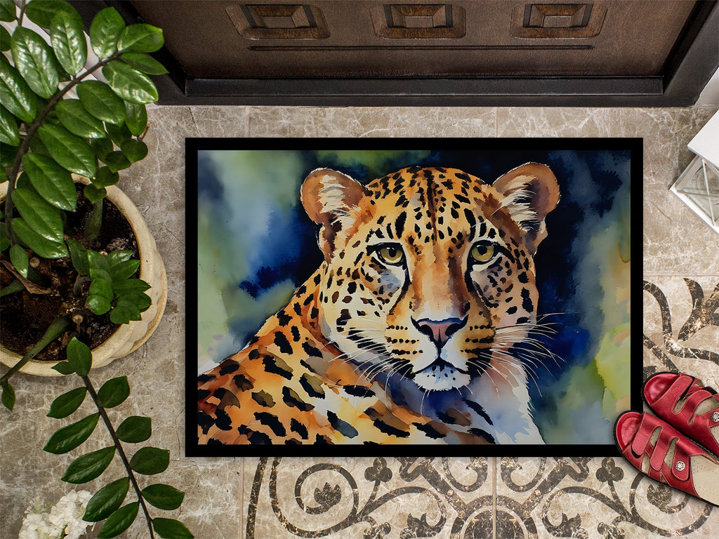Leopard Doormat Indoor Outdoor 24H X 36W Front Door Mat Rugs for Entryway, Non Slip Washable Low Pile,