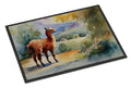 Llama Doormat Indoor Outdoor 24H X 36W Front Door Mat Rugs for Entryway, Non Slip Washable Low Pile,