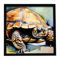 Turtles Tortoises Framed Metal Print Bathroom, Kitchen, Office, Home Decor Wall Art Ready to Hang, Square, 8X8