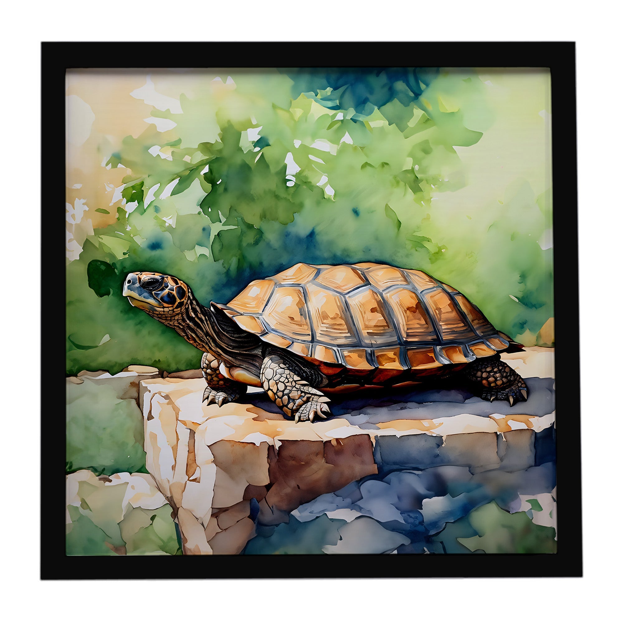 Turtles Tortoises Framed Metal Print Bathroom, Kitchen, Office, Home Decor Wall Art Ready to Hang, Square, 8X8