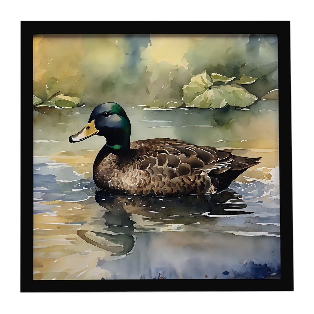 Mallard Duck Swimming Lake Framed Metal Print Bathroom, Kitchen, Office, Home Decor Wall Art Ready to Hang, Square, 8X8