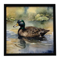 Mallard Duck Swimming Lake Framed Metal Print Bathroom, Kitchen, Office, Home Decor Wall Art Ready to Hang, Square, 8X8