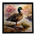 Mallard Duck Standing Lakeside Framed Metal Print Bathroom, Kitchen, Office, Home Decor Wall Art Ready to Hang, Square, 8X8