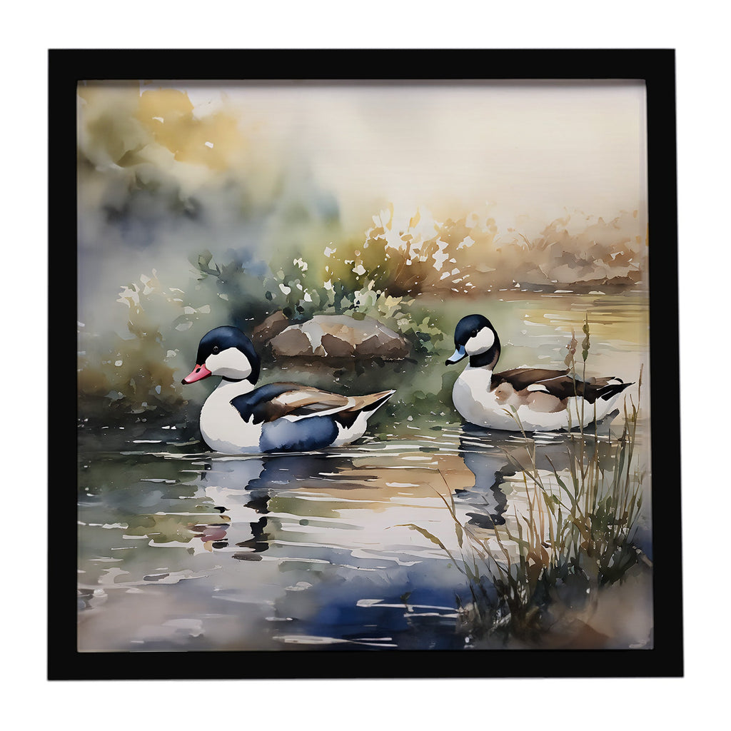 Bufflehead Ducks Swimming Marsh Scene Framed Metal Print Bathroom, Kitchen, Office, Home Decor Wall Art Ready to Hang, Square, 8X8
