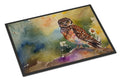 Burrowing Owl Wildlife Portrait Doormat Indoor Outdoor 24H X 36W Front Door Mat Rugs for Entryway, Non Slip Washable Low Pile,