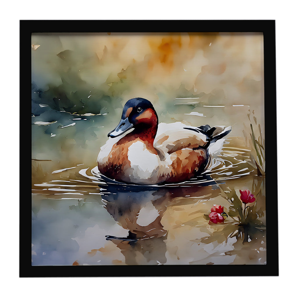 Canvasback Duck Swimming Pond Wildlife Framed Metal Print Bathroom, Kitchen, Office, Home Decor Wall Art Ready to Hang, Square, 8X8
