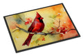 Northern Cardinal on Branch Doormat Indoor Outdoor 24H X 36W Front Door Mat Rugs for Entryway, Non Slip Washable Low Pile,