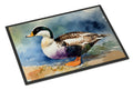 Common Eider Duck Standing Shoreline Doormat Indoor Outdoor 18H X 27W Front Door Mat Rugs for Entryway, Non Slip Washable