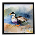 Common Eider Duck Standing Shoreline Framed Metal Print Bathroom, Kitchen, Office, Home Decor Wall Art Ready to Hang, Square, 8X8