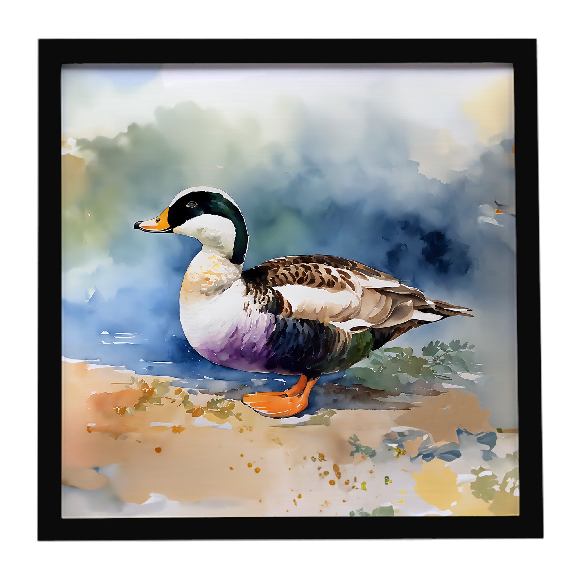 Common Eider Duck Standing Shoreline Framed Metal Print Bathroom, Kitchen, Office, Home Decor Wall Art Ready to Hang, Square, 8X8