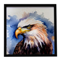 Bald Eagle Portrait Close-Up Framed Metal Print Bathroom, Kitchen, Office, Home Decor Wall Art Ready to Hang, Square, 8X8