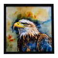 Bald Eagle Portrait Wildlife Framed Metal Print Bathroom, Kitchen, Office, Home Decor Wall Art Ready to Hang, Square, 8X8