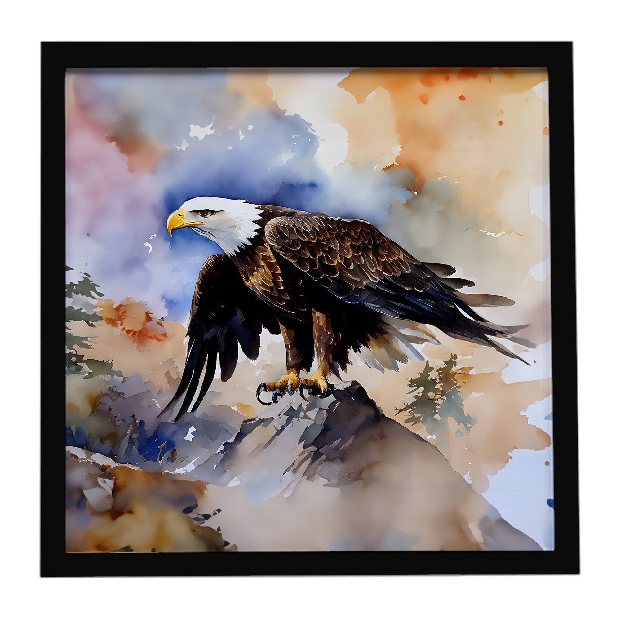 Bald Eagle Perched Rock Wildlife Framed Metal Print Bathroom, Kitchen, Office, Home Decor Wall Art Ready to Hang, Square, 8X8