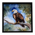 Bald Eagle Perched Tree Branch Framed Metal Print Bathroom, Kitchen, Office, Home Decor Wall Art Ready to Hang, Square, 8X8
