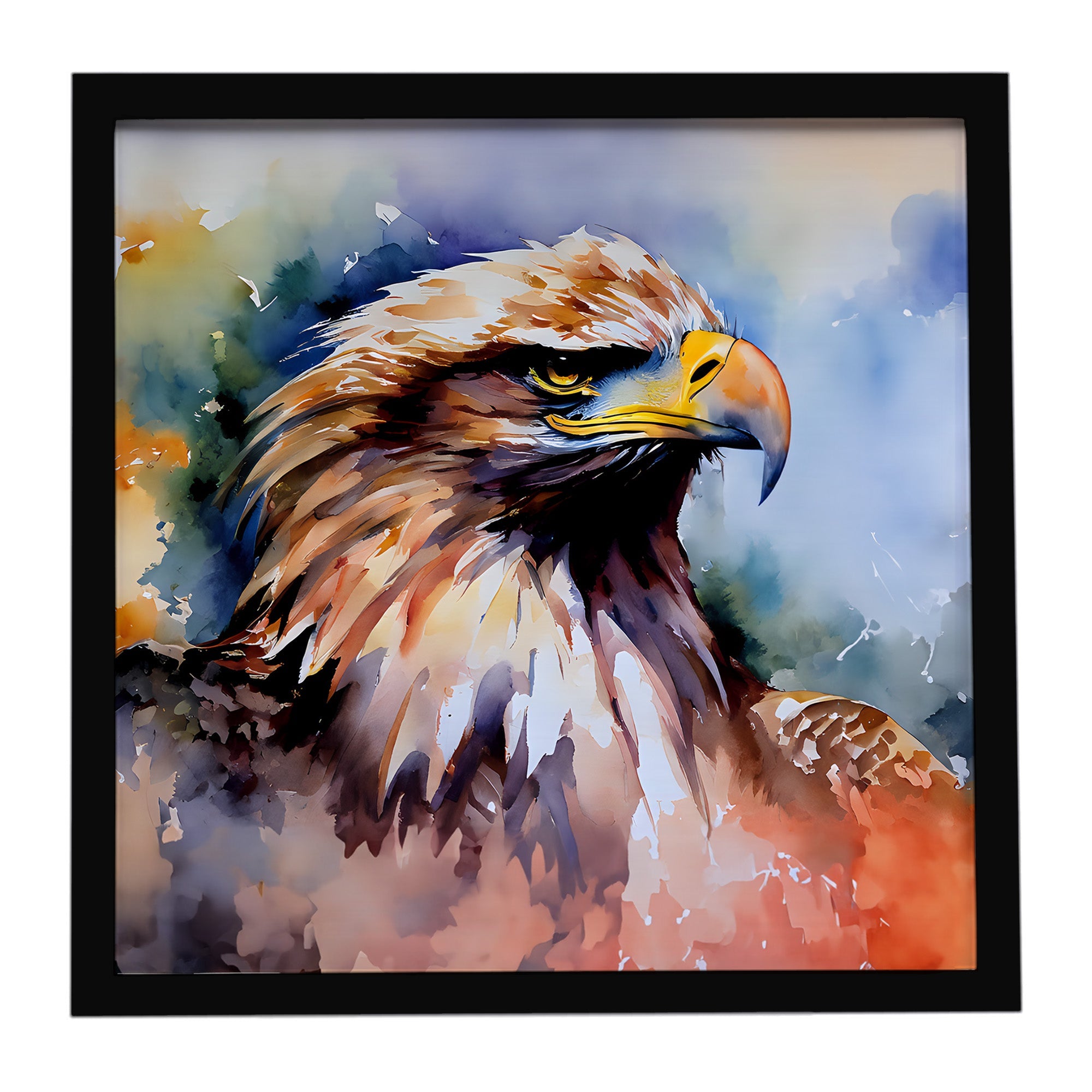 Bald Eagle Portrait Close Detail Framed Metal Print Bathroom, Kitchen, Office, Home Decor Wall Art Ready to Hang, Square, 8X8