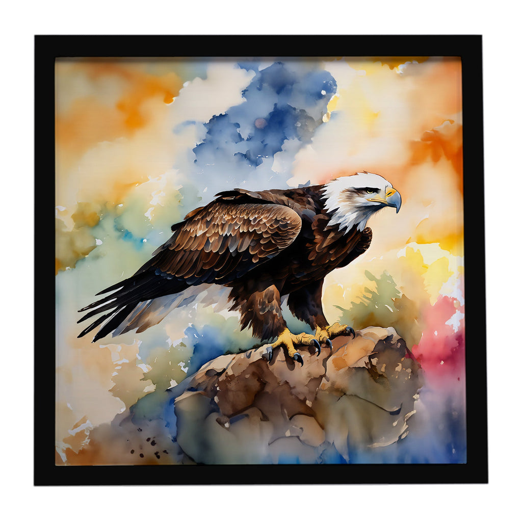 Bald Eagle Perched Rock Wildlife Framed Metal Print Bathroom, Kitchen, Office, Home Decor Wall Art Ready to Hang, Square, 8X8