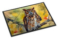 Eastern Screech Owl Wildlife Portrait Doormat Indoor Outdoor 18H X 27W Front Door Mat Rugs for Entryway, Non Slip Washable