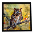 Eastern Screech Owl Wildlife Portrait Framed Metal Print Bathroom, Kitchen, Office, Home Decor Wall Art Ready to Hang, Square, 8X8