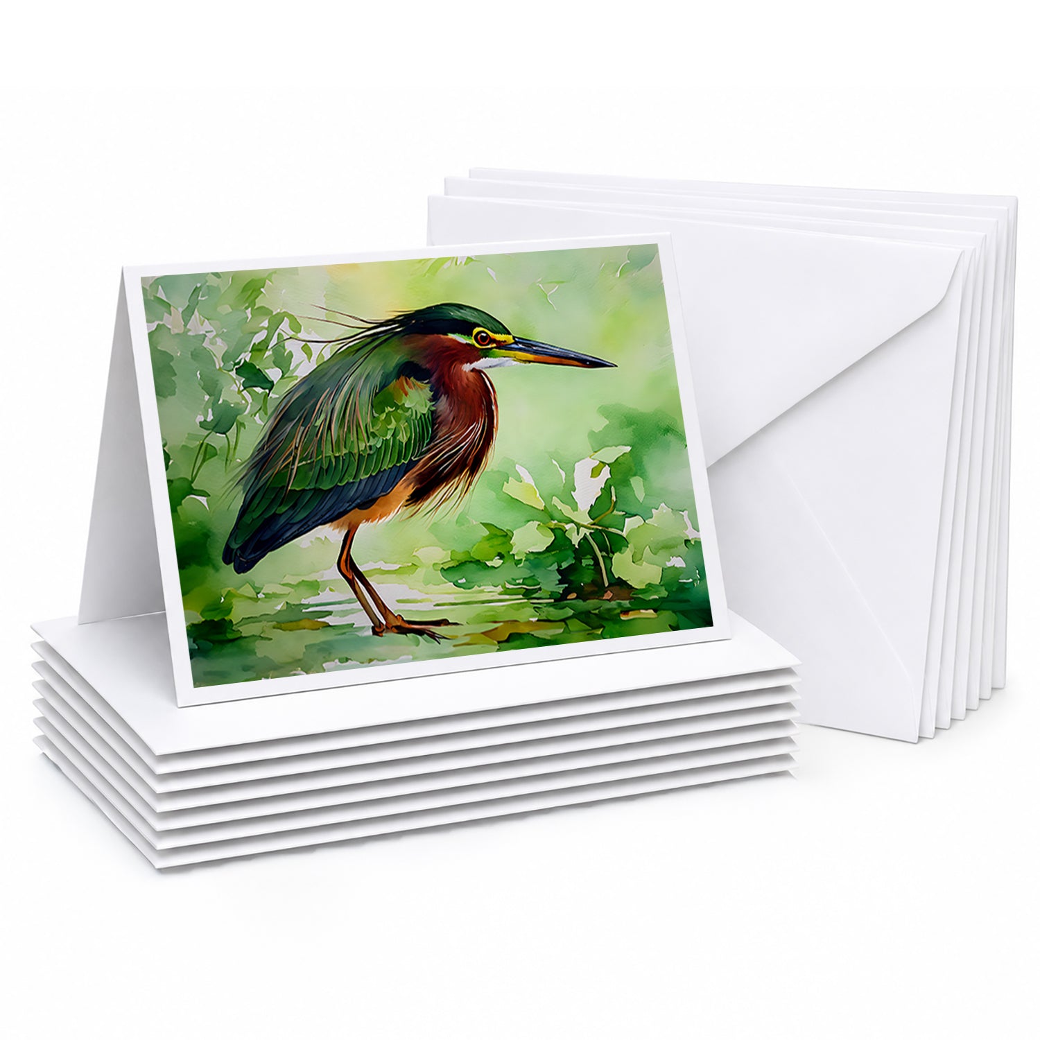 Green Heron Standing Marsh Greeting Cards Pack of 8 Blank Cards with Envelopes Whimsical A7 Size 5x7