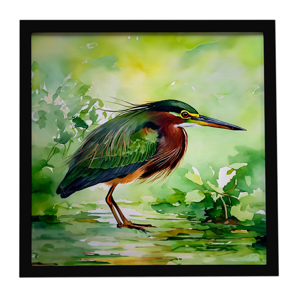 Green Heron Standing Marsh Framed Metal Print Bathroom, Kitchen, Office, Home Decor Wall Art Ready to Hang, Square, 8X8