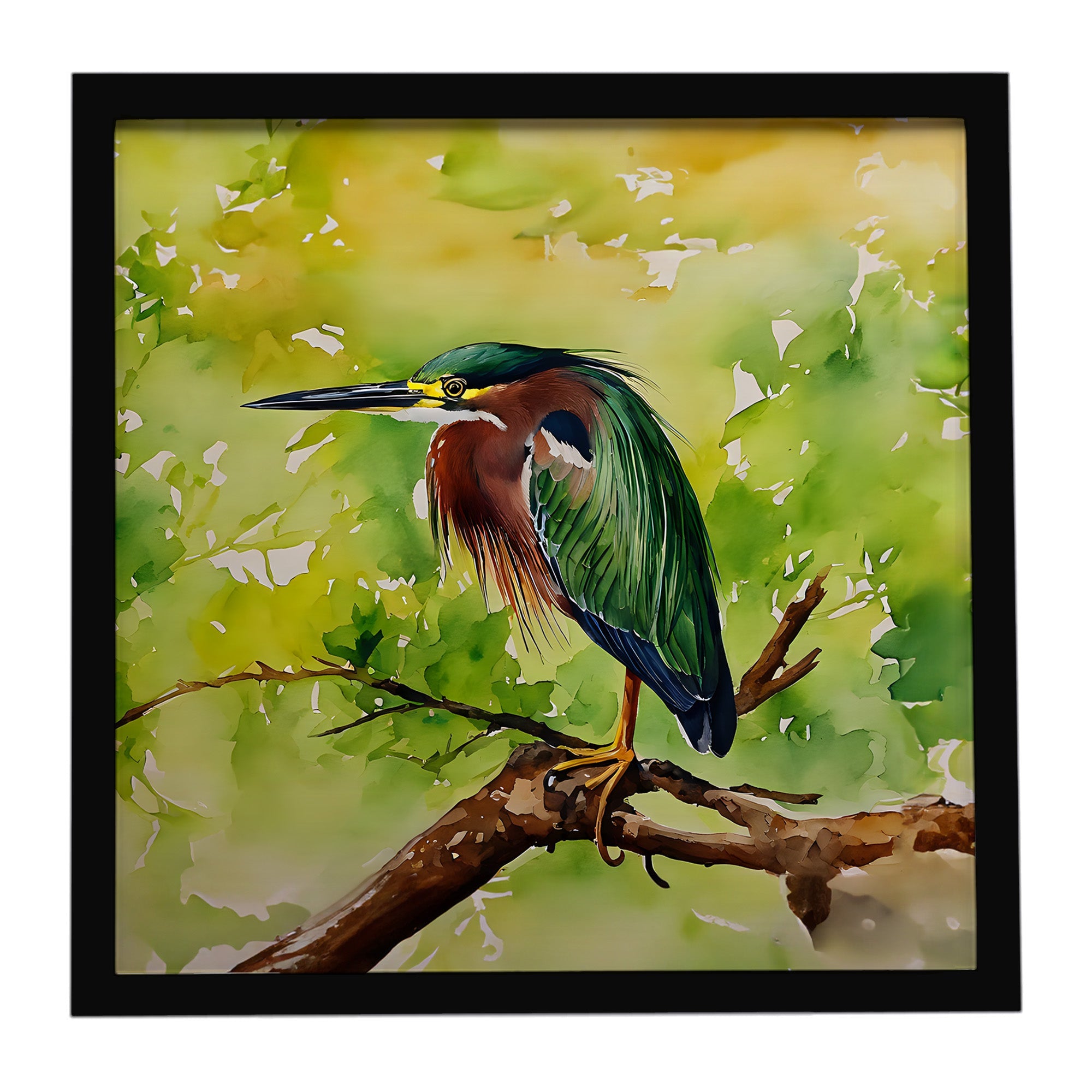 Green Heron Perched Branch Framed Metal Print Bathroom, Kitchen, Office, Home Decor Wall Art Ready to Hang, Square, 8X8