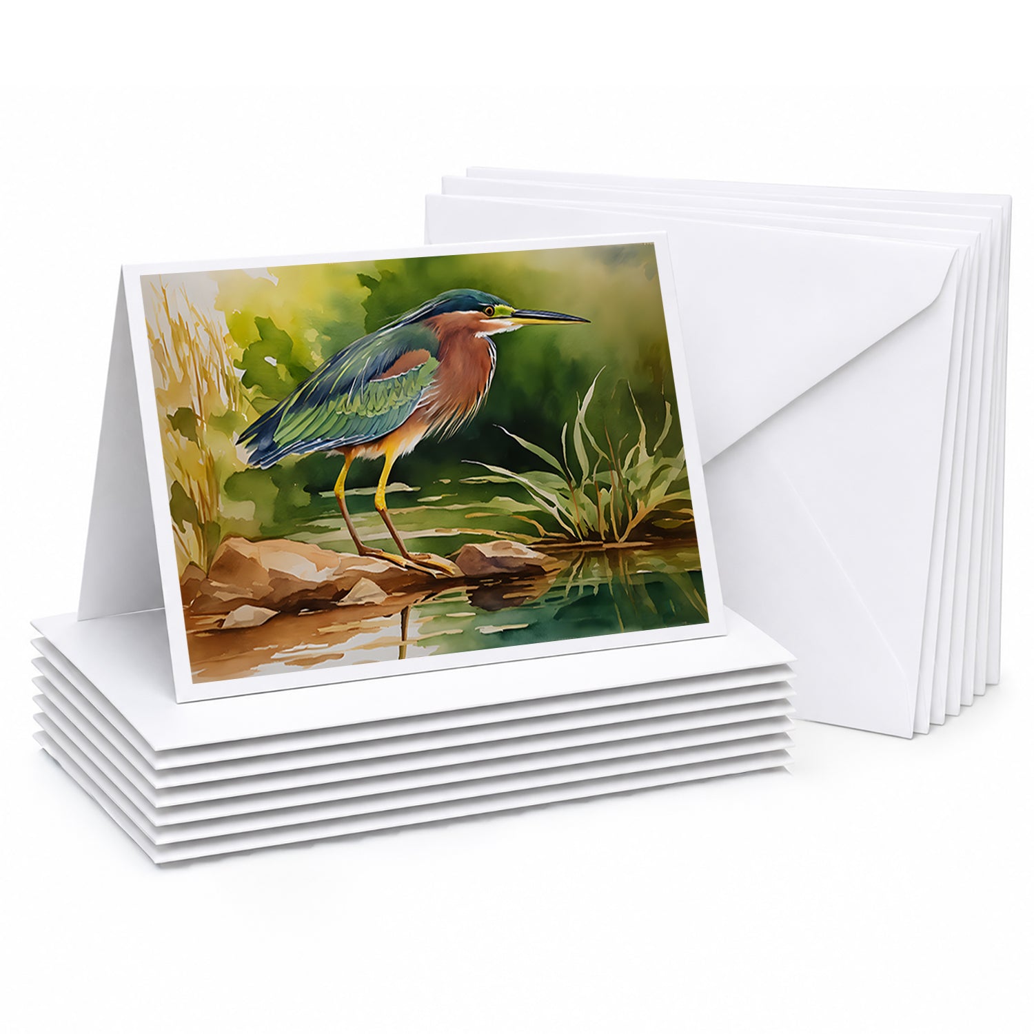 Green Heron Standing Shoreline Greeting Cards Pack of 8 Blank Cards with Envelopes Whimsical A7 Size 5x7