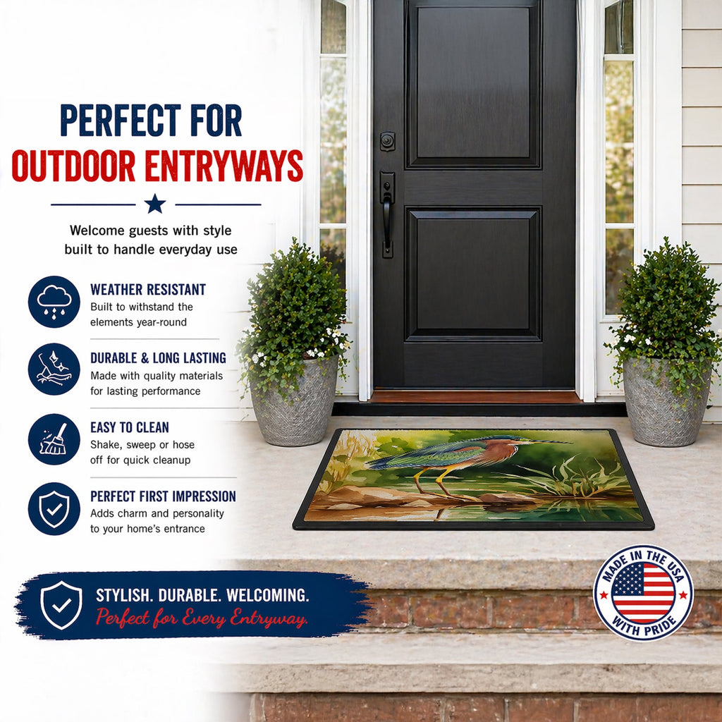 Green Heron Standing Shoreline Doormat Indoor Outdoor 18H X 27W Front Door Mat Rugs for Entryway, Non Slip Washable