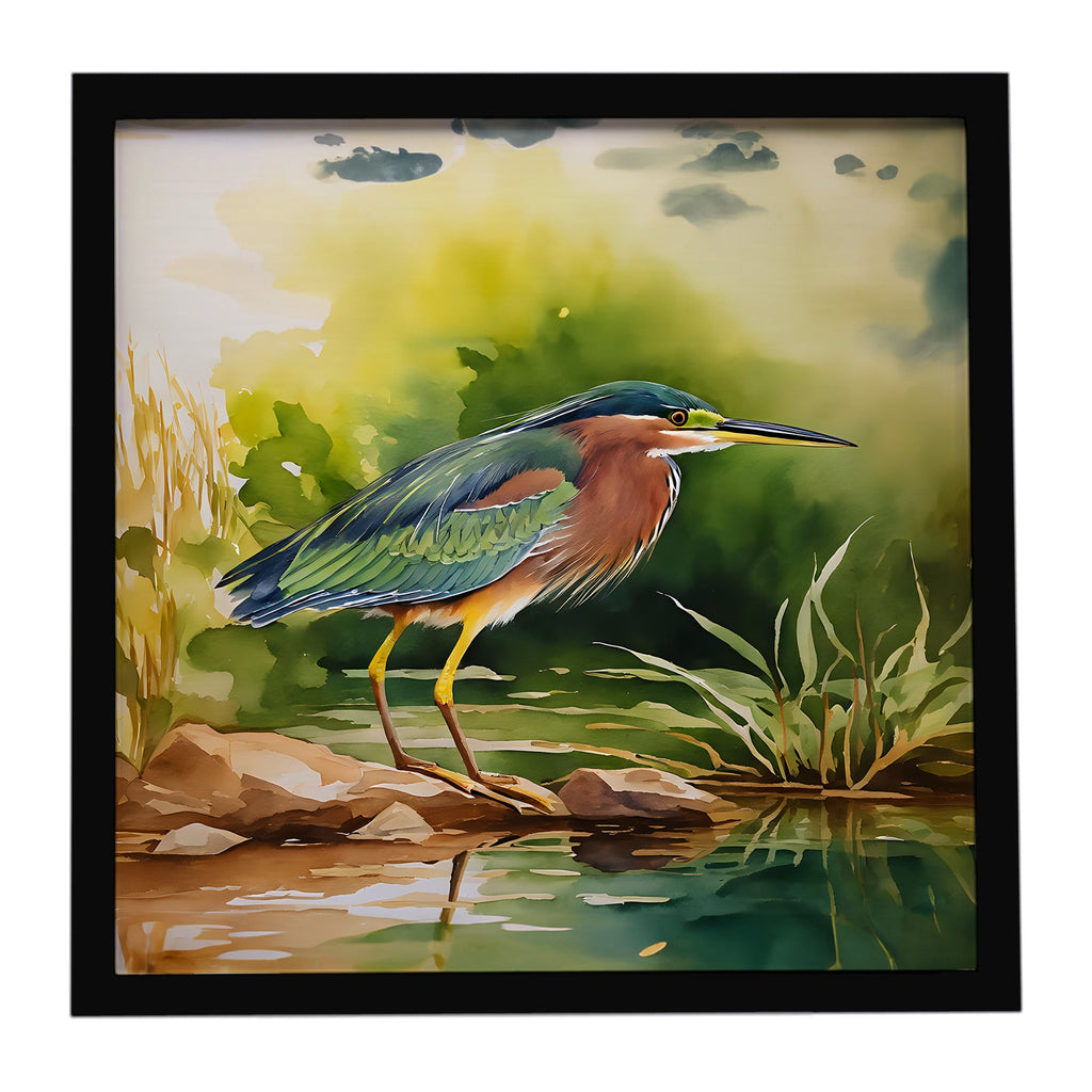 Green Heron Standing Shoreline Framed Metal Print Bathroom, Kitchen, Office, Home Decor Wall Art Ready to Hang, Square, 8X8
