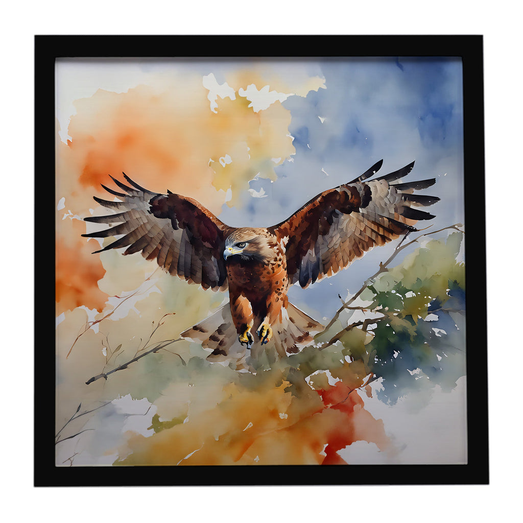 Red Tailed Hawk Landing Wings Spread Framed Metal Print Bathroom, Kitchen, Office, Home Decor Wall Art Ready to Hang, Square, 8X8