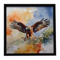 Red Tailed Hawk Landing Wings Spread Framed Metal Print Bathroom, Kitchen, Office, Home Decor Wall Art Ready to Hang, Square, 8X8