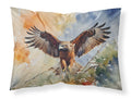 Red Tailed Hawk Landing Wings Spread Standard Pillowcase Lightweight Super Soft Easy Care Decorative Artwork Pillowcase, Standard