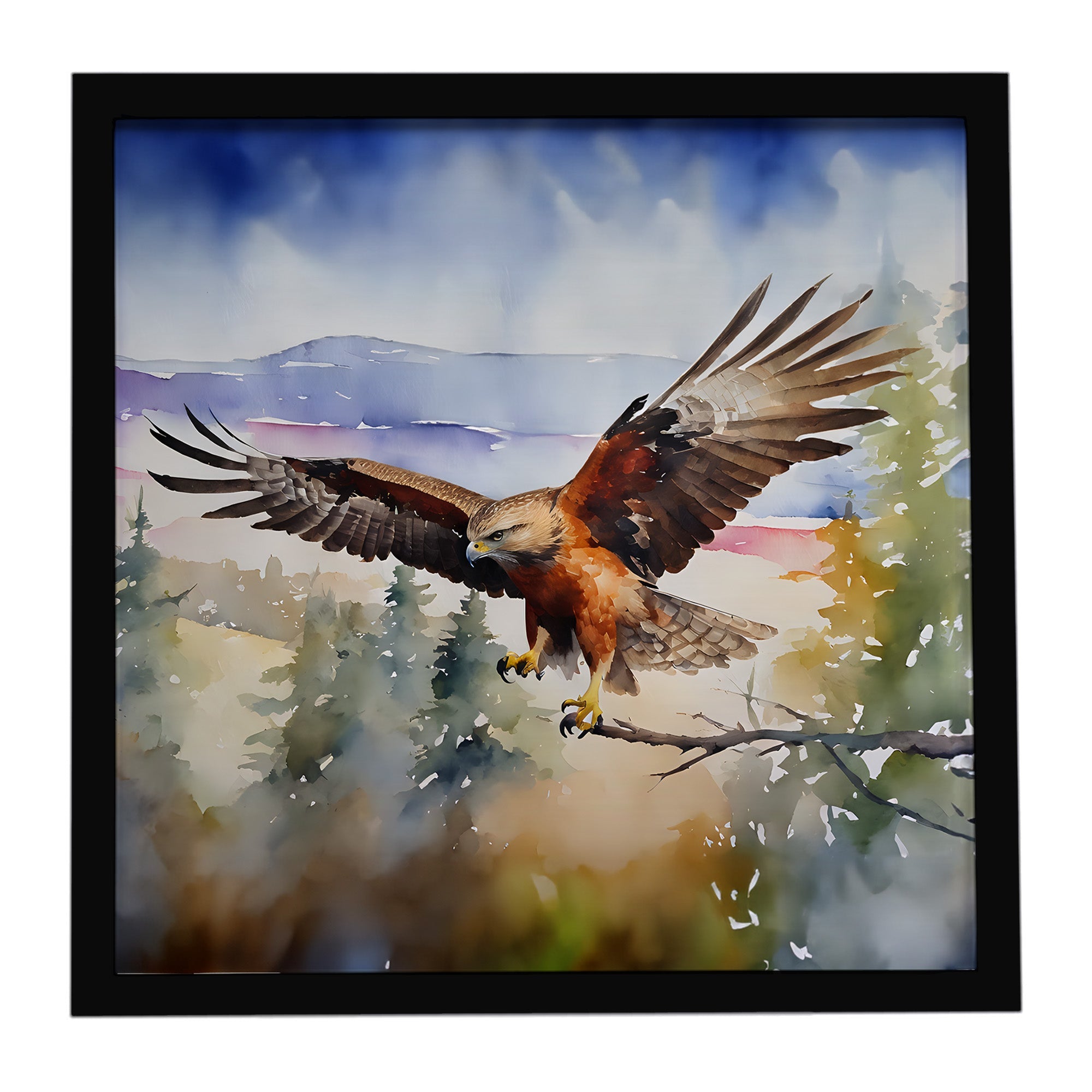 Red Tailed Hawk Flying Landscape Framed Metal Print Bathroom, Kitchen, Office, Home Decor Wall Art Ready to Hang, Square, 8X8