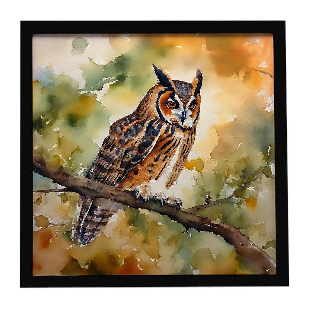Long-Eared Owll Perched Branch Framed Metal Print Bathroom, Kitchen, Office, Home Decor Wall Art Ready to Hang, Square, 8X8