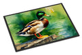 Mallard Duck Standing Pond Edge Doormat Indoor Outdoor 24H X 36W Front Door Mat Rugs for Entryway, Non Slip Washable Low Pile,