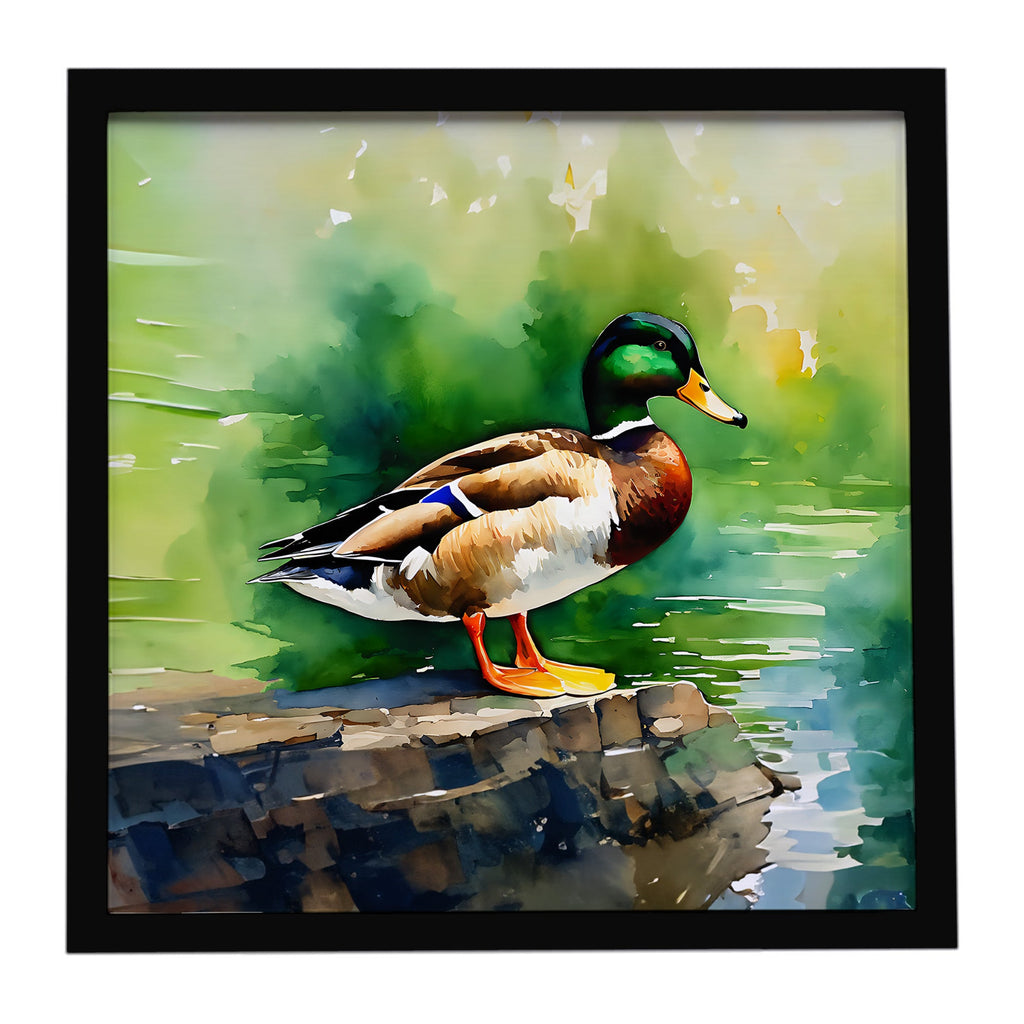 Mallard Duck Standing Pond Edge Framed Metal Print Bathroom, Kitchen, Office, Home Decor Wall Art Ready to Hang, Square, 8X8