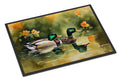 Mallard Ducks Swimming Pond Doormat Indoor Outdoor 24H X 36W Front Door Mat Rugs for Entryway, Non Slip Washable Low Pile,