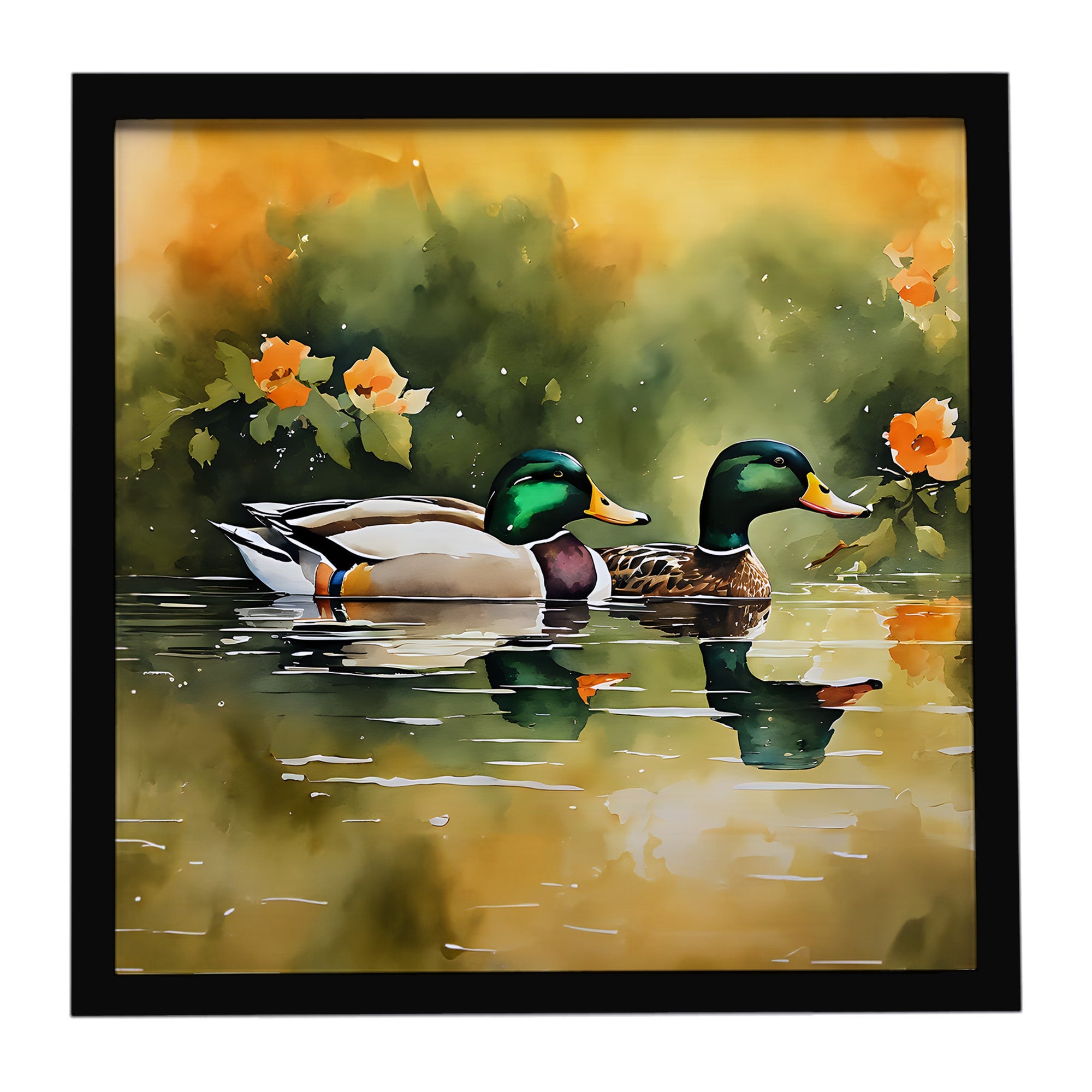 Mallard Ducks Swimming Pond Framed Metal Print Bathroom, Kitchen, Office, Home Decor Wall Art Ready to Hang, Square, 8X8
