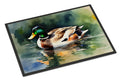 Mallard Duck Swimming Calm Water Doormat Indoor Outdoor 24H X 36W Front Door Mat Rugs for Entryway, Non Slip Washable Low Pile,